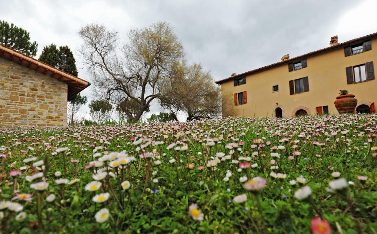 Agriturismo Villa Mozart Nel Verde Gubbio Exterior photo